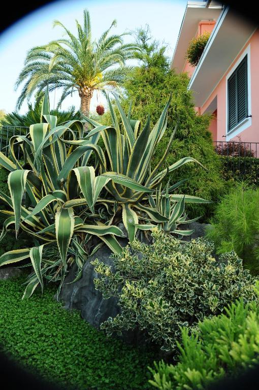 Residence La Cycas Villammare Exterior photo